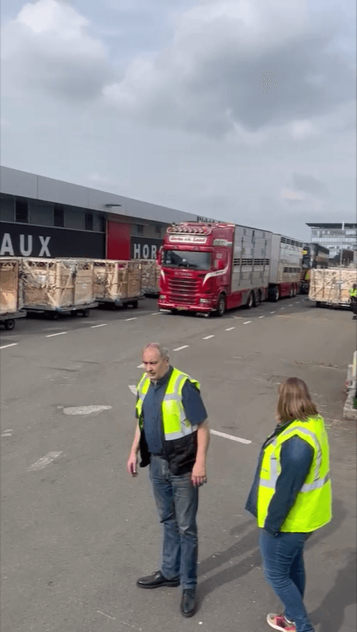 Nigeria Holstein Trucks airport