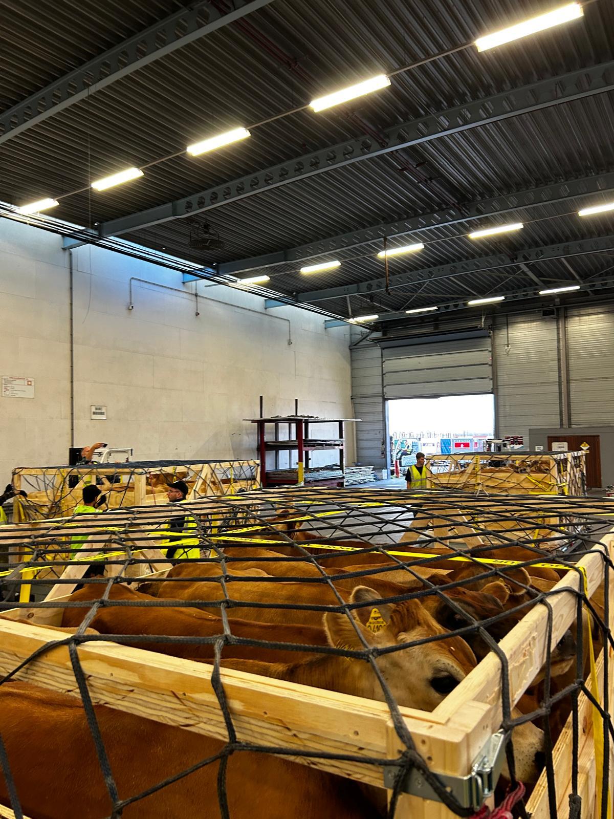 Oman Jersey Crates terminal